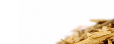 Muira Puama za spolno moč